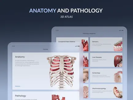 تطبيق VOKA Anatomy Pro