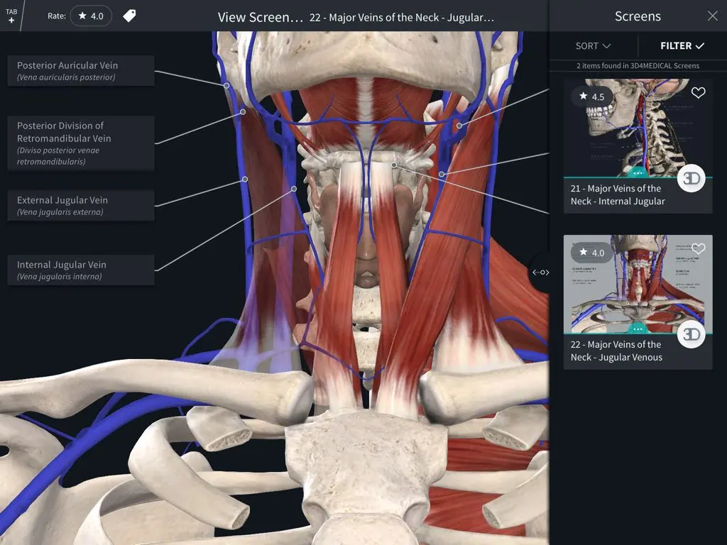 تطبيق Complete Anatomy (by 3D4Medical)
